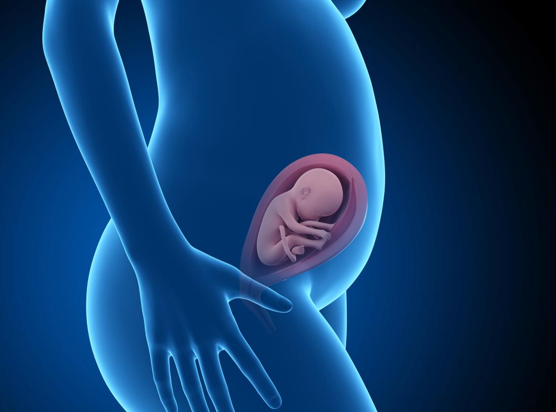 25 Weeks Pregnant Symptoms Hormones Baby Development