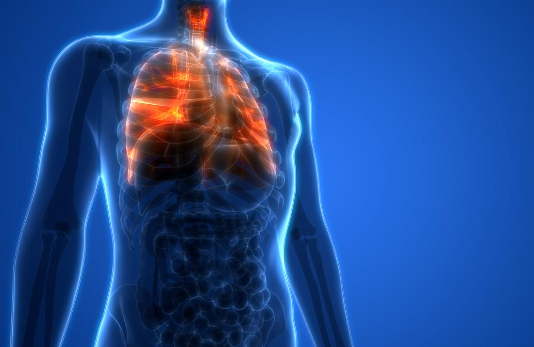 Lung Function What Do The Lungs Do