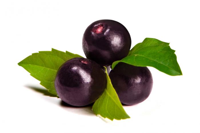 Acai berry cancer prevention