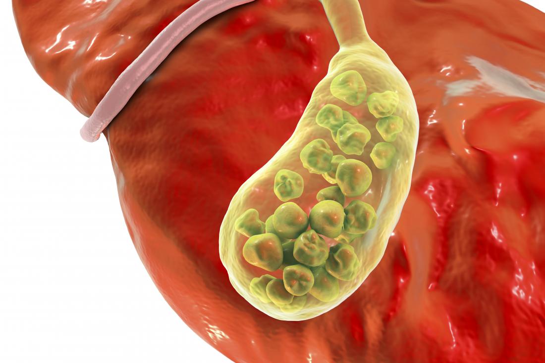 gall bladder