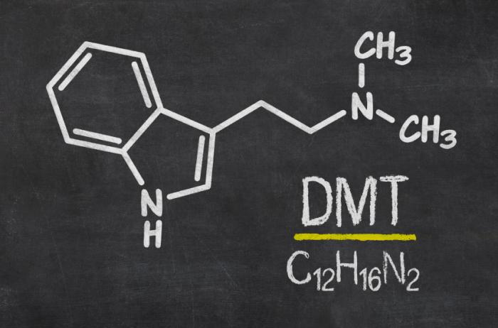 DMT: effects and uses of DMT.