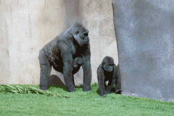 Photo of Jim, whose Y chromosome was sequenced, with his mother and sister