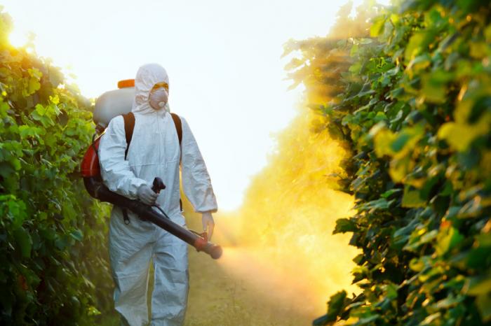 Man in protective suit spraying pesticide
