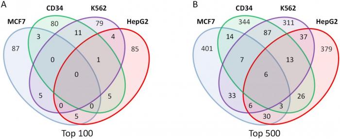 Gamma-Retroviruses Preferentially Integrate near Cancer-Associated Genes