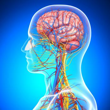 brain and blood vessels to and in head