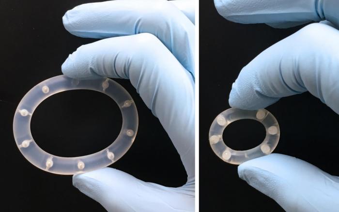 Image of intravaginal ring (IVR) device