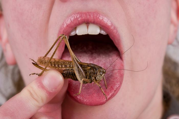 Edible Insects in Africa, Eating insects