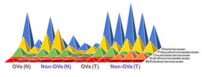 profiles of microbiomes