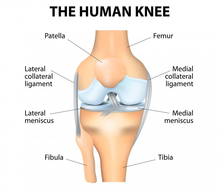 Causes knee pain Knee pain