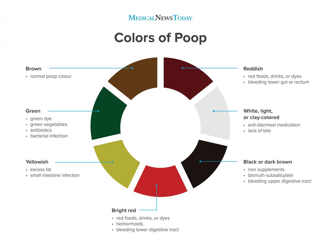 color of your poop chart stool color changes and chart what does it ...