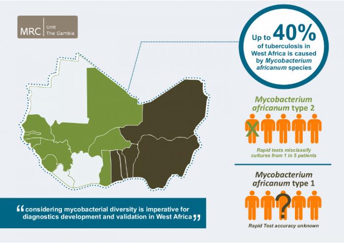 Mycobacterium africanum (Maf), causes up to 40% of TB cases in West Africa
