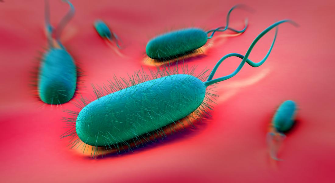 H Pylori Causes Symptoms And Stomach Ulcers