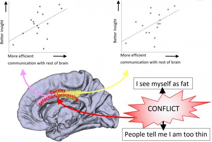 Insight may be impaired in people where connections between areas of the brain involved in conflict detection are abnormal