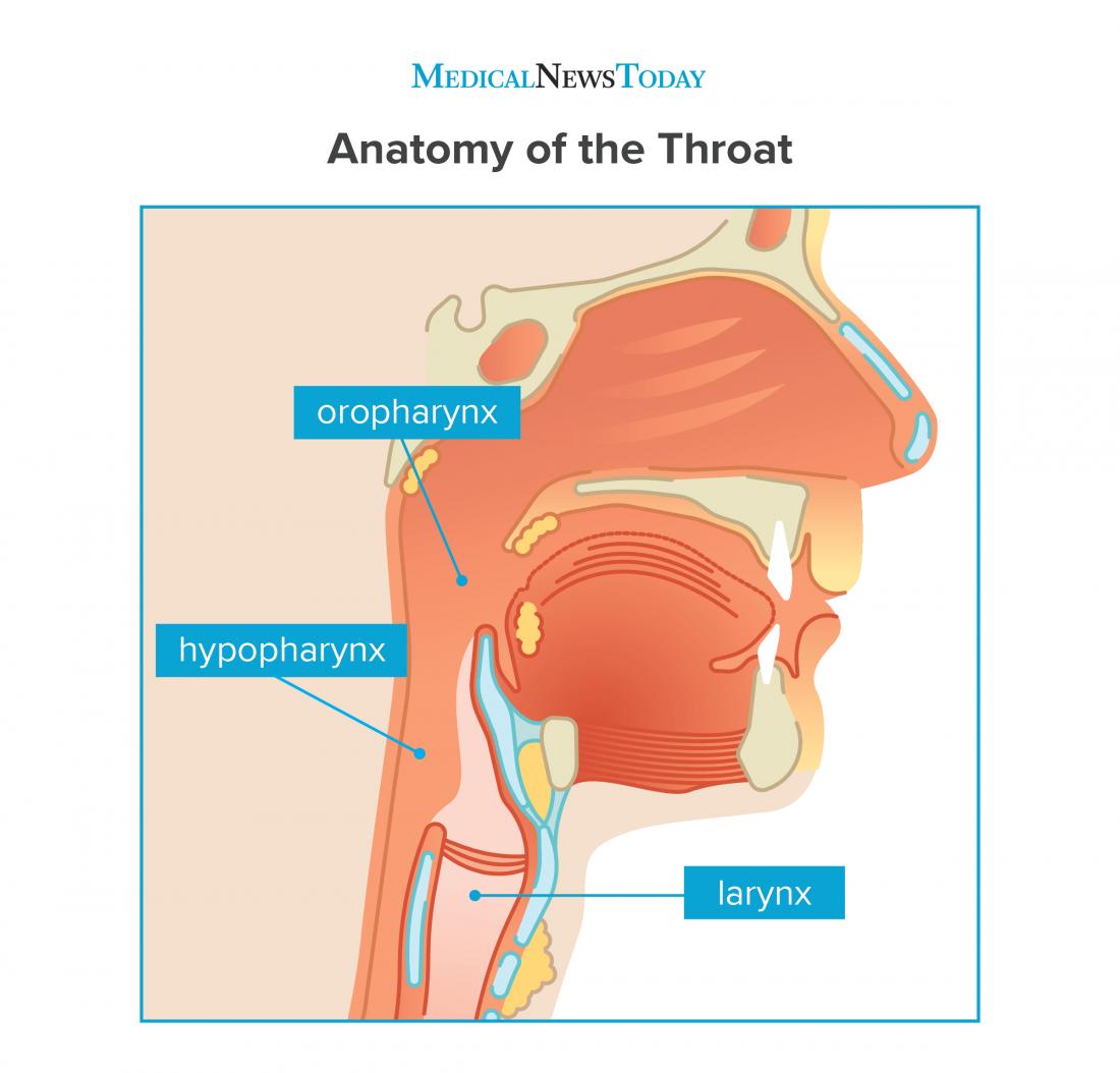 Throat cancer: Symptoms, pictures, causes, and treatment