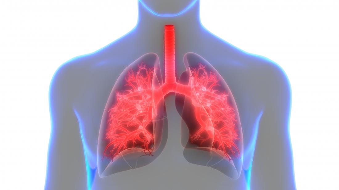 CVA and asthma affect the airways.
