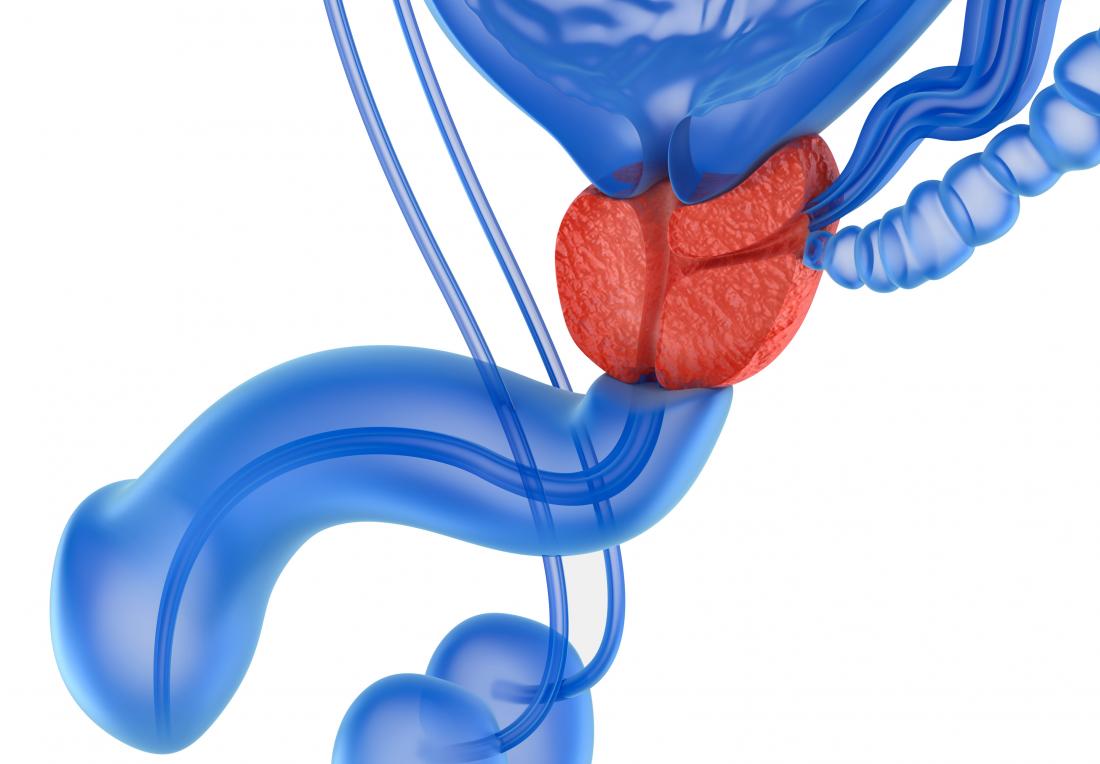 Prostate massage therapy: Definition, types, and risks