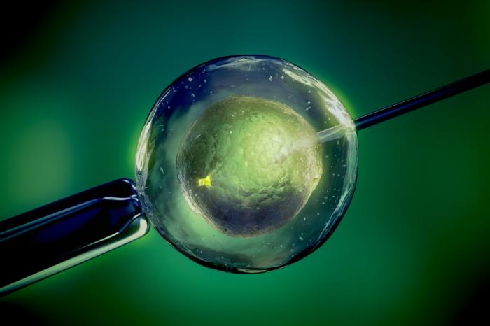 IVF