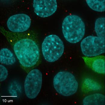 nobody interacting with proteins