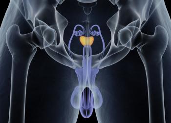 [Prostate gland and the male reproductive system