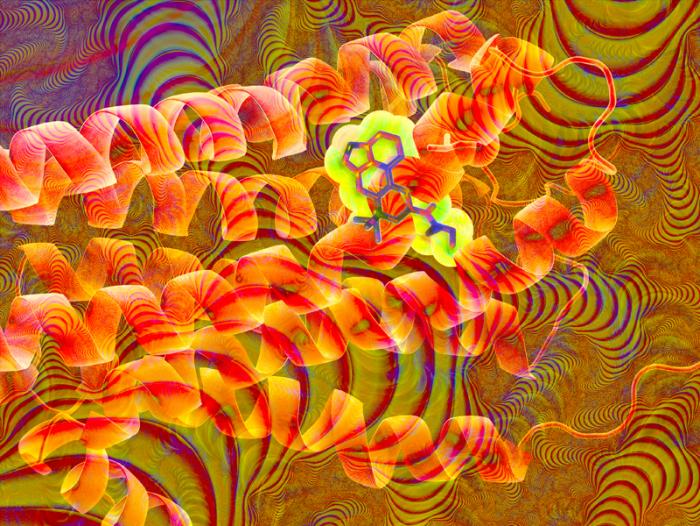 Figur musikkens Anvendelse Scientists discover why LSD 'acid trip' lasts so long
