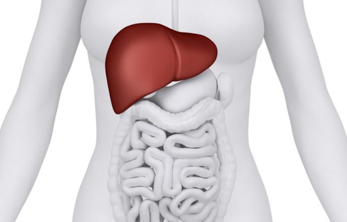 High BMI linked to severe liver disease in later life
