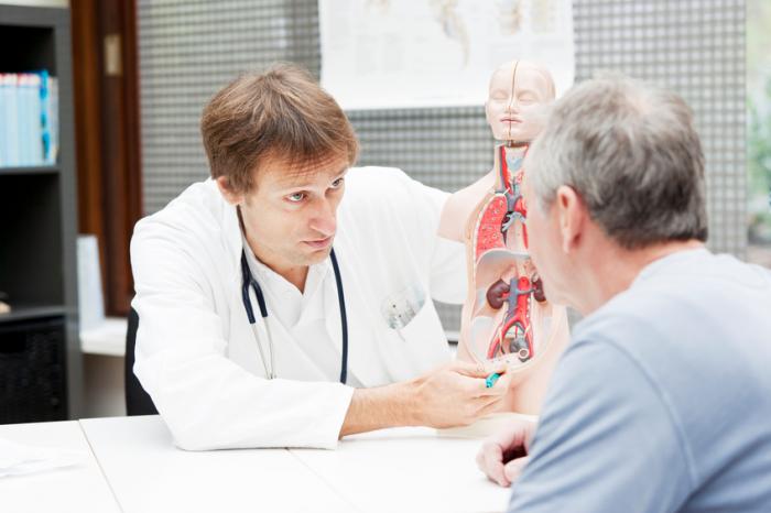 doctor showing patient location of prostate on anatomical model