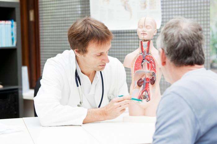 doctor showing patient the bladder on a model