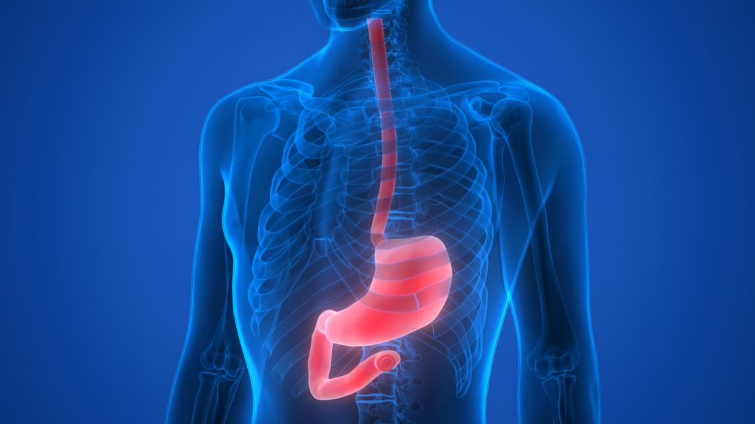 Barium Swallow Gerd Diagnosis Nusagates