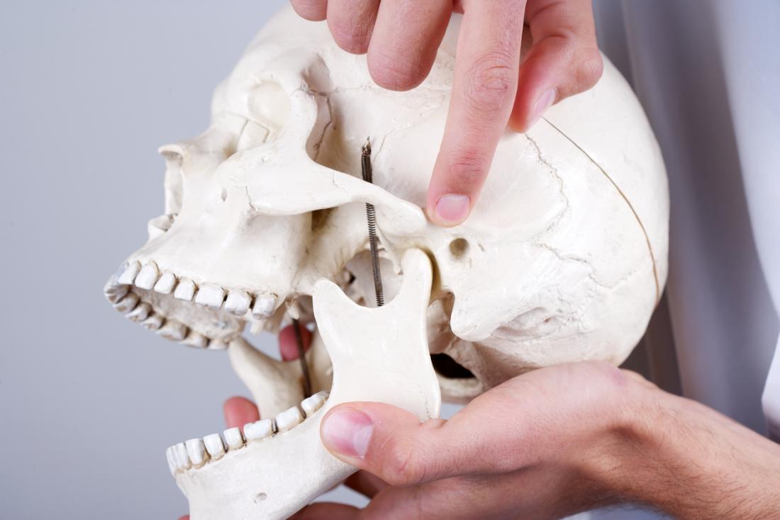 temporomandibular joint