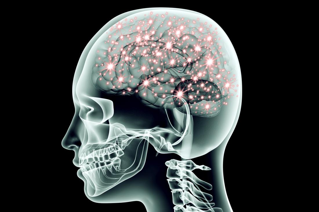 How do nerves control every organ and function in the body?