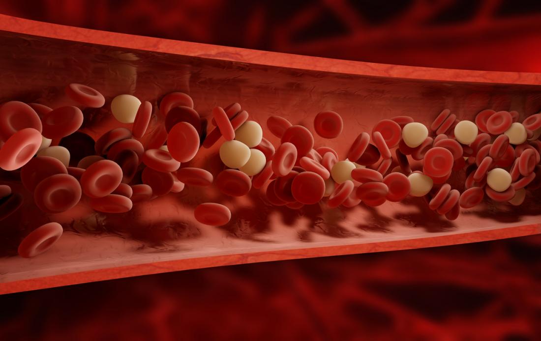 red blood cells 