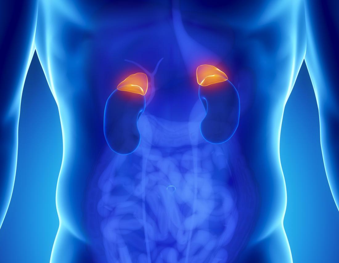 cyst on adrenal gland on kidney