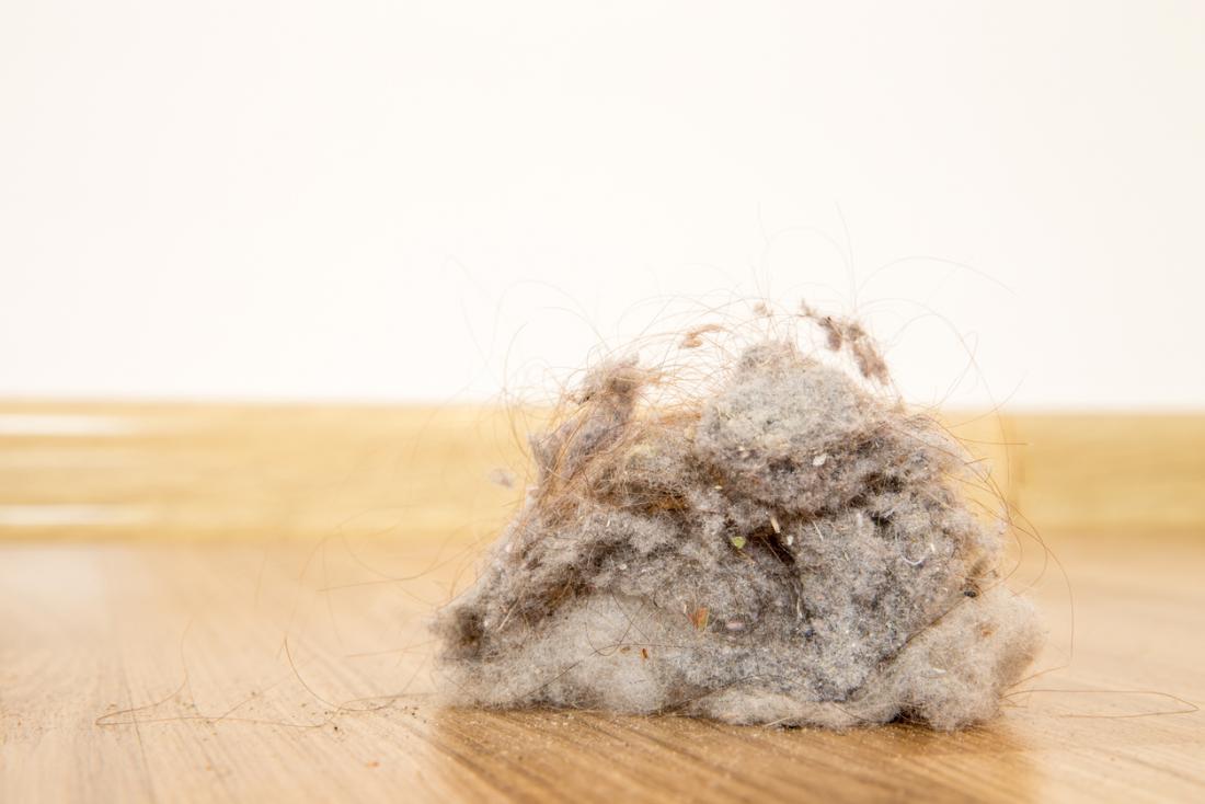 Could House Dust Make Us Fat