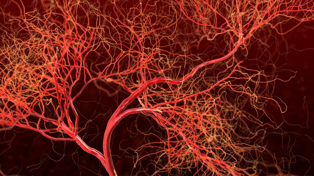 Heart Attack Blood Vessel Growth May Improve Treatment