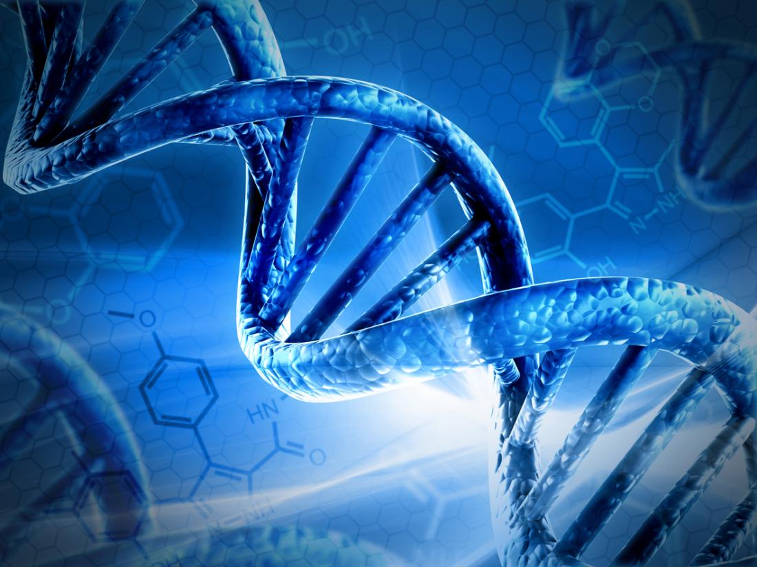 DNA and chromosome