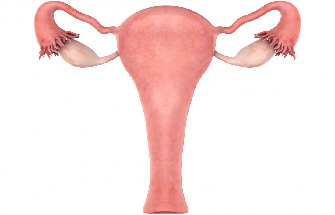 What is Bulky Uterus? its Symptoms, Causes and Treatments