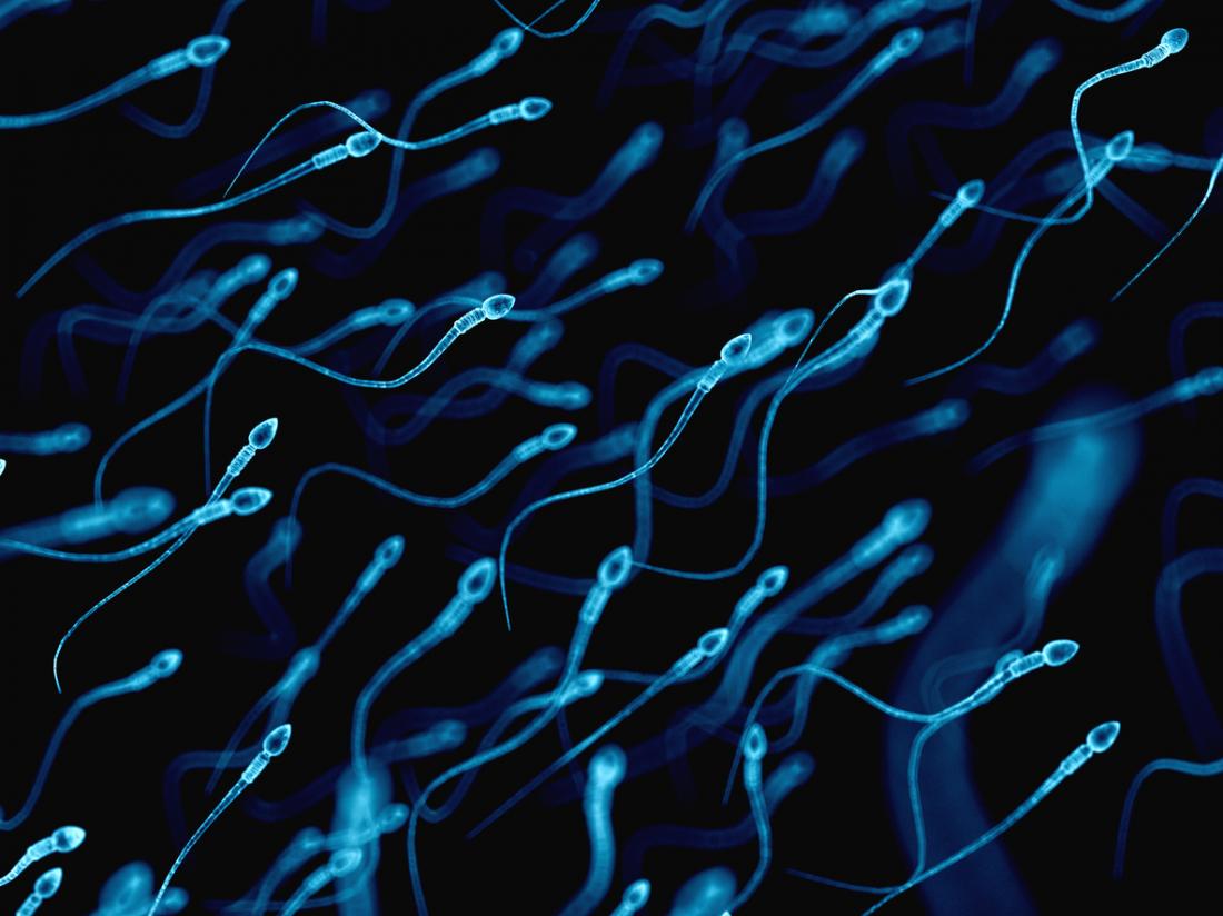 Blue Sperm