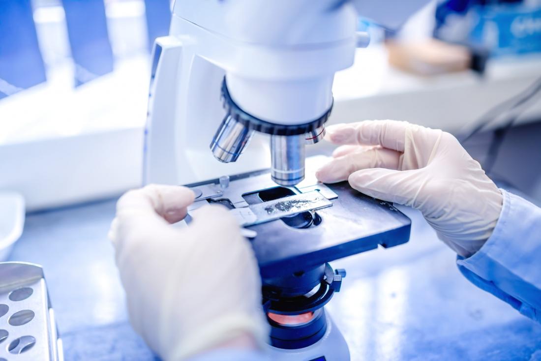 Sample being examined under microscope.