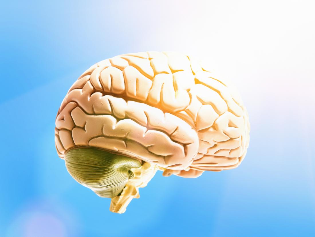 a human brain in a blue sky