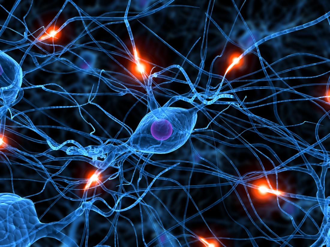an illustration of neurons