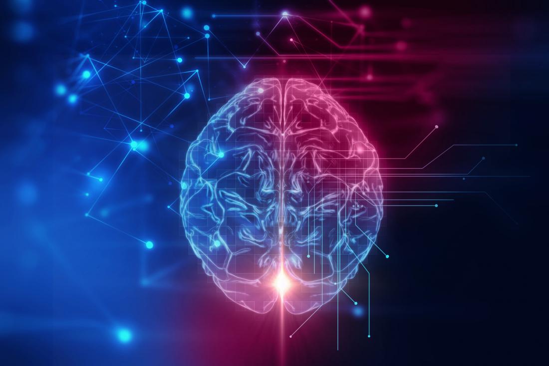 brain illustration