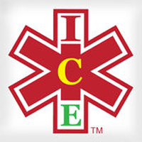 ICE Medical Standard logo