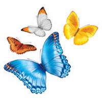 myChildrens logo
