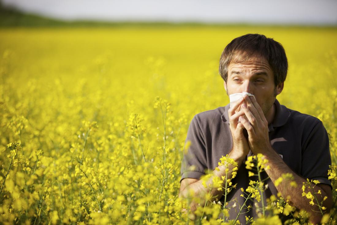 Man in field of yellow flowers coughing and blowing his nose.