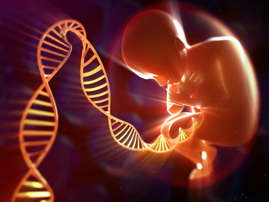 Gene Testing Genes Affect A Single Gene