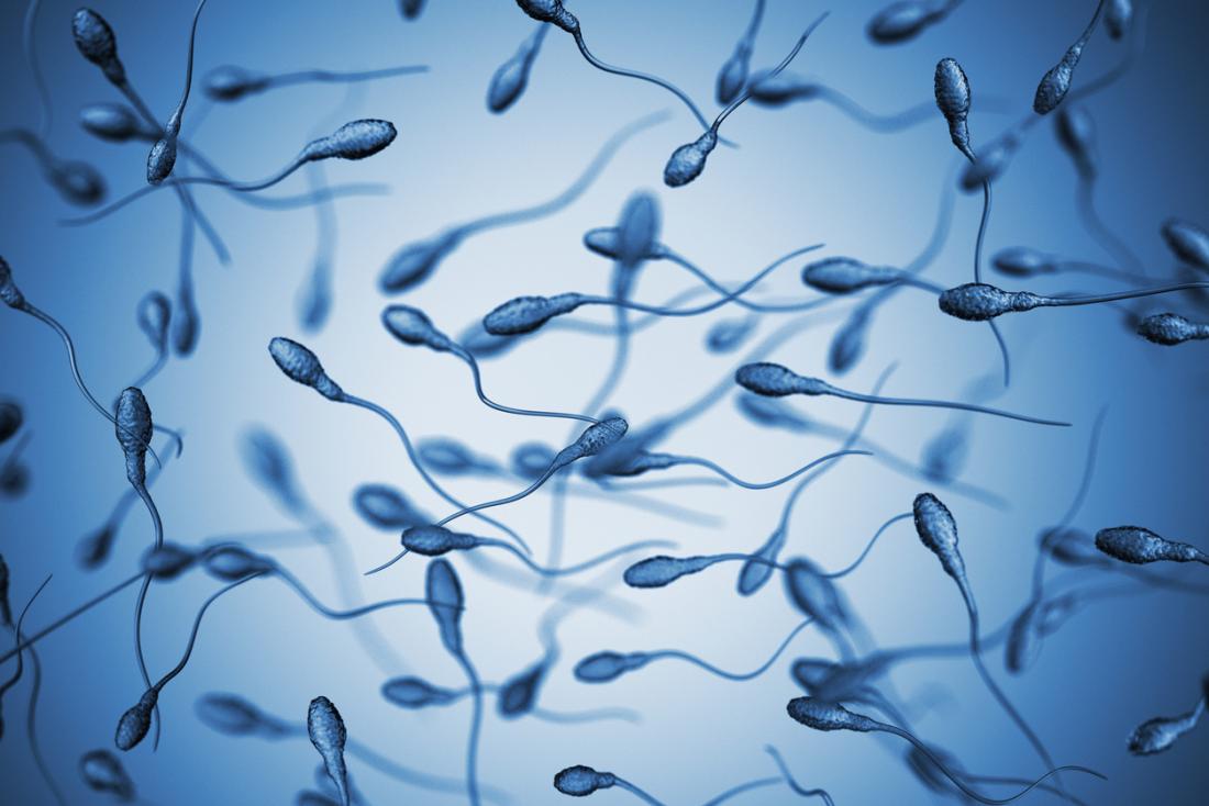 Men's Health UK on X: Is tight underwear damaging your sperm