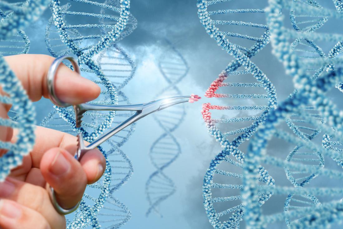 Playing God: Dangers, ethical issues outweigh benefits for gene editing  research