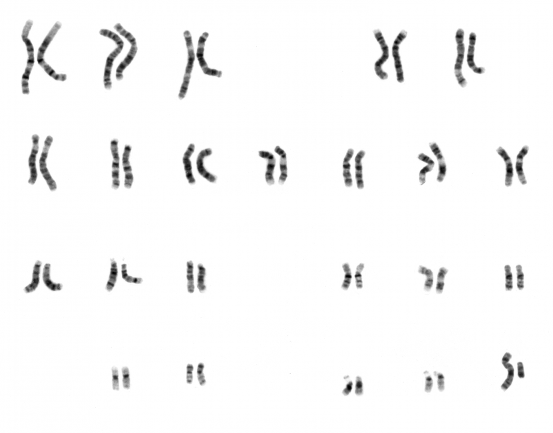 Human male karyotype Image credit: National Human Genome Research Institute