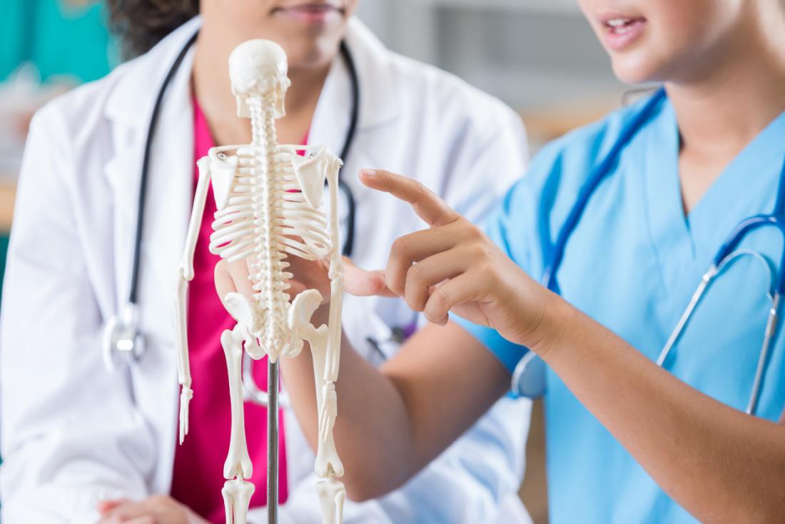 Medical student and doctor looking at miniature anatomical model of human skeleton, pointing at specific bones.
