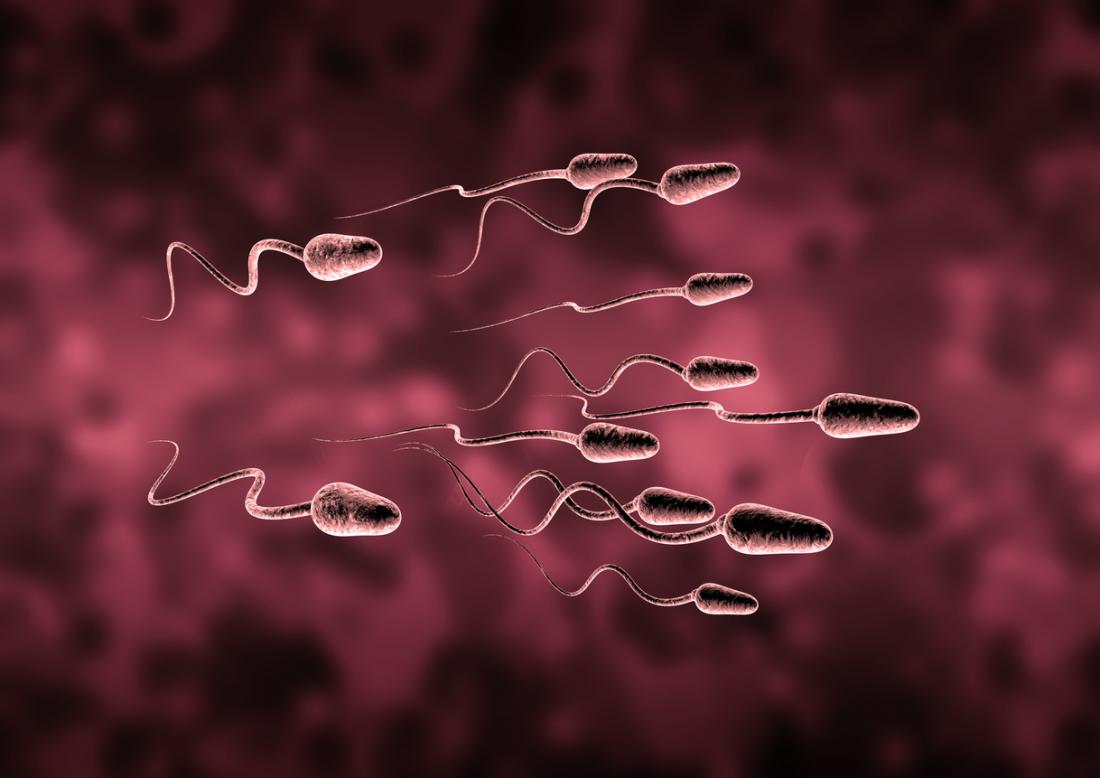 natural ways to increase sperm count 